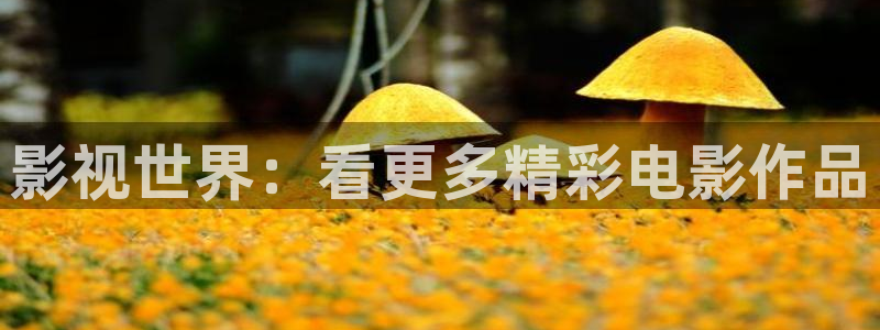 青萍果影院yy6090