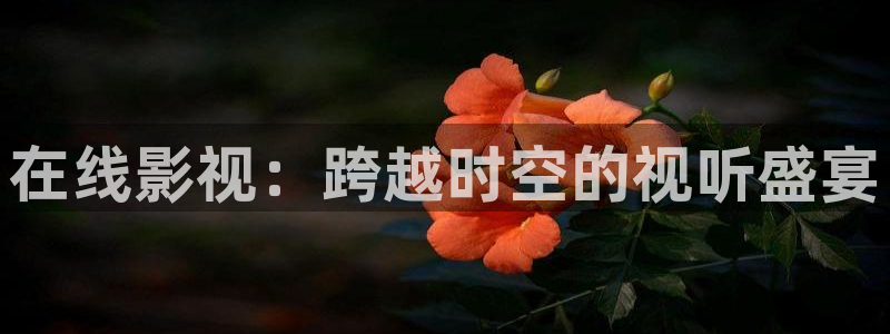 yy6090高清影院青苹果